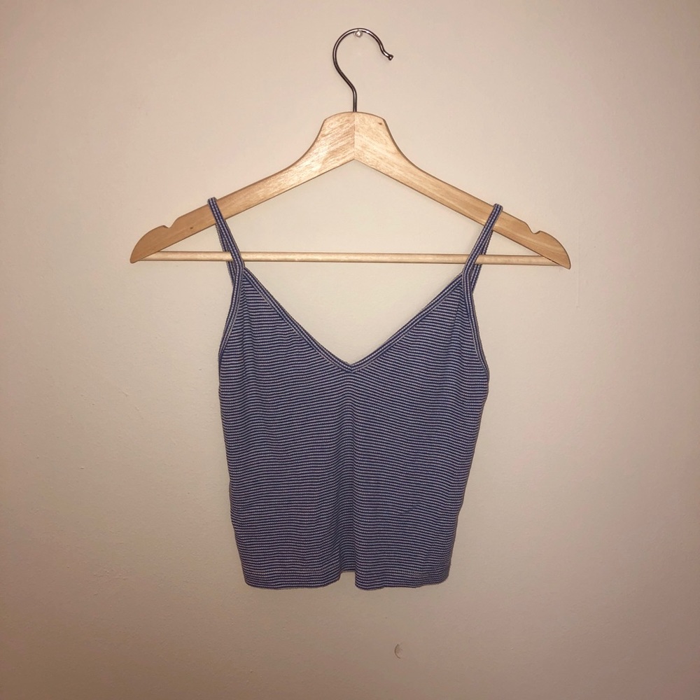Brandy Melville Blue and White Striped Crop-Top